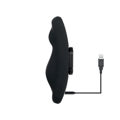 Private Party - Remote Controlled