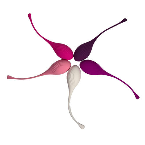 Hold Tight Kegel Ball Set